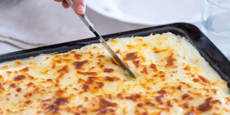 طريقه عمل المكرونه البشاميل بالفراخ